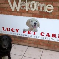 Lucy Pet Carer logo