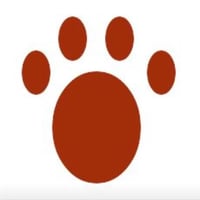 Park-your-paws. Doggy day care, home boarding & dog walking logo