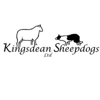 Sheep & Leap logo