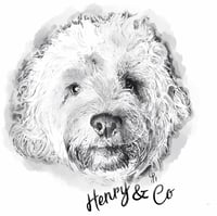 Henry & Co logo