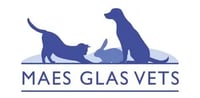 Maes Glas Vets, Llantrisant logo