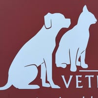 Border Vets logo