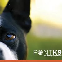 PontK9 Dog Walking logo