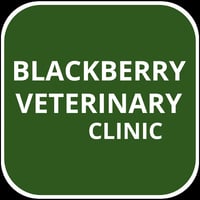 Blackberry Veterinary Clinic logo