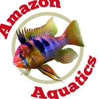 Amazon Aquatics logo