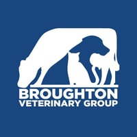 Broughton Veterinary Group, Leicester logo