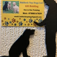 Baldock Dog Training (held in Your home) 07808 147029 logo
