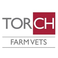Torch Farm Vets Roundswell logo