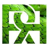 Reptile Rewards logo