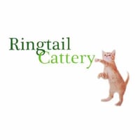 Ringtail Cattery logo