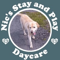 Nic's stay and play doggy day care logo