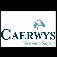 Caerwys Veterinary Surgery Rhyl Branch logo