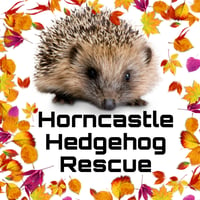 Horncastle Hedgehog Rescue logo