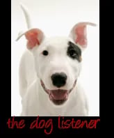 the dog listener logo