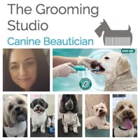 The Grooming Studio logo
