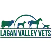 Lagan Valley Vets logo