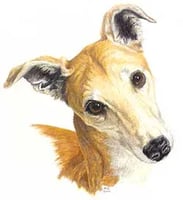 Top Dog: Dog Grooming Melksham logo