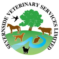 Severnside Veterinary Centre logo
