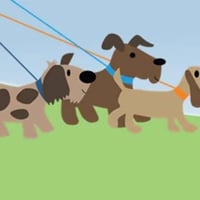 Doggy Walks Caring Pet Service logo