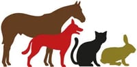 Animed Equine Veterinary Clinic logo
