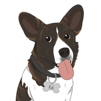 Kai's Canines logo
