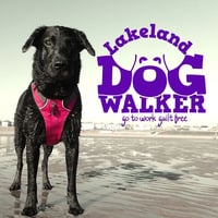 Lakeland Dog Walker logo