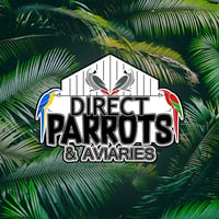 Direct Parrots logo