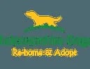 National Dog Rescue logo