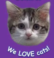 Cat Lovers' Cattery logo