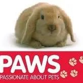 Paws Pets logo