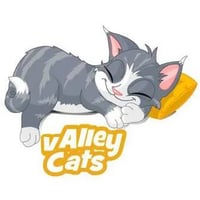 Valley Cats logo
