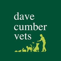 Dave Cumber Veterinary Surgeons logo