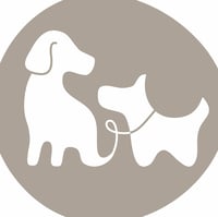 Buddy & Beau Dog Grooming Studio logo