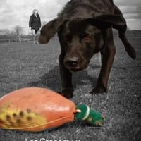 Trained for Life and The Pet Gundog logo