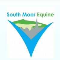 South Moor Equine Vets logo