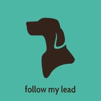 Follow My Lead logo