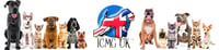 ICMG Education Ltd logo