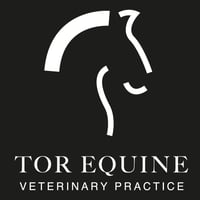 Tor Equine Vets logo