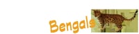 Bundara Bengals logo