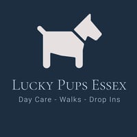 Lucky Pups Dog Day Care logo