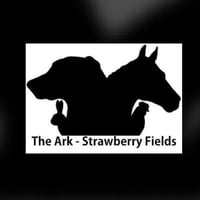 The Ark Strawberry Fields logo