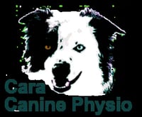 Cara Canine Physio. Audra Hurst (AdvCertVPhys, MIRVAP) logo