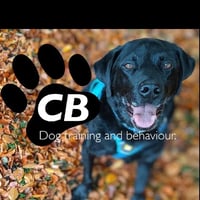 CB Dogs logo