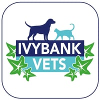 Ivybank Vets logo