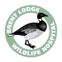 Brent Lodge Wildlife Hospital logo