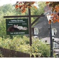 Tabley Brook Kennels and Cattery logo