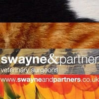 Swayne & Partners Ltd logo