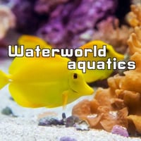 Waterworld Aquatics logo