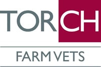 Torch Farm Vets Holsworthy logo