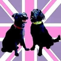 Holly & Lil The Dog Groomers logo